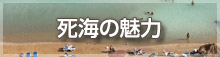 死海の魅力