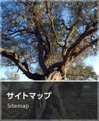 サイトマップ